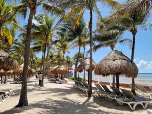 Grand Palladium beach and seaweed