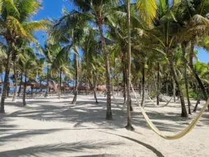 Grand Palladium beach view