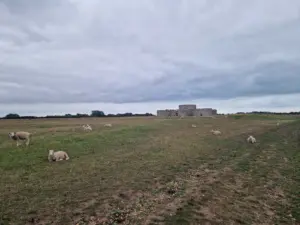 Rye - Camber Castle view