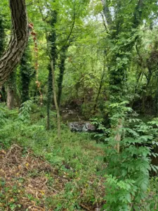 Krushuna Waterfalls hiking