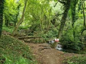 Krushuna waterfalls area hike