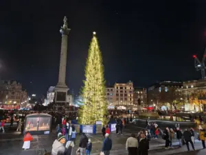 Trafalgar square Christmas Tree London