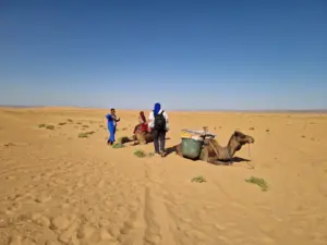 Arawan luxury desert camp camel trek Sahara
