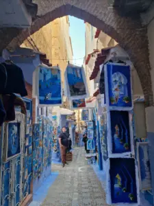 Chefchaouen blue street cats