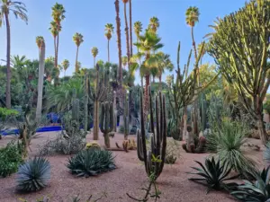 Marrakesh best time to visit