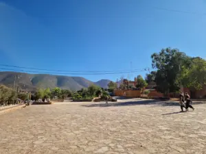 Ouzoud waterfalls journey back to Marrakesh