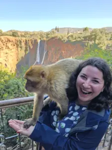 Ouzour Waterfalls monkey