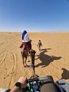 Sahara camel trek