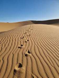 Sahara desert dunes