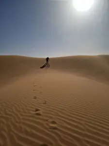 Sahara desert dunes trekking