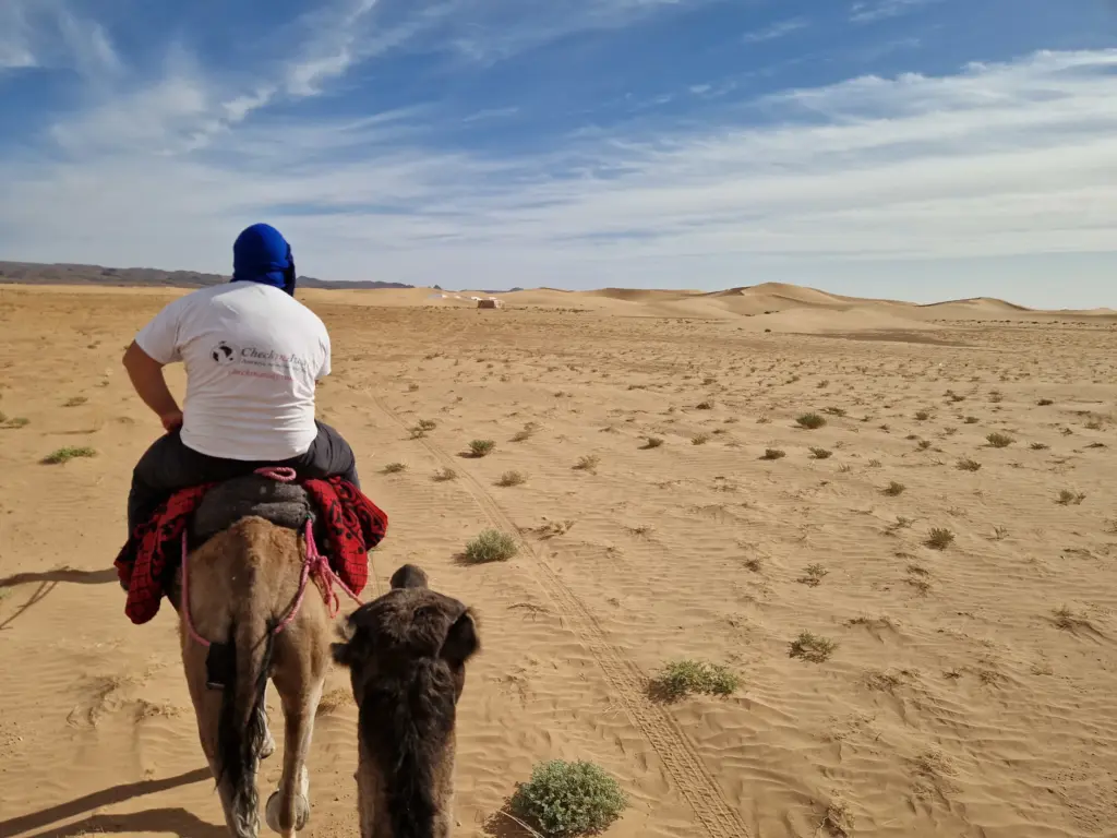 Sahara desert nomadic experience camel trek