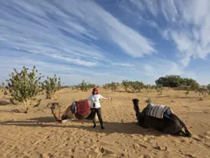 Sahara desert nomadic experience camels