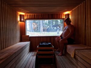 Finnish Sauna Hotel Lion Borovets