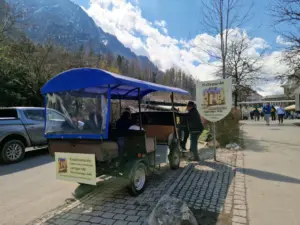 Horse Carriage towards Neuschwanstein