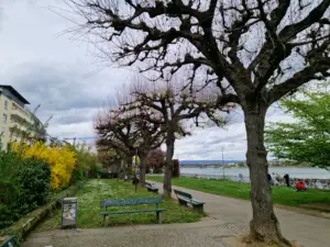 Mainz Rheinpromenade