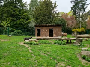 Mainz Stadt Park animals