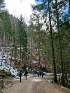 Neuschwanstein Castle walk down through the forest