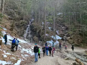 Neuschwanstein Castle walk through the forest