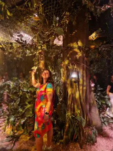 The Paddington Bear Experience Peruvian Jungle view