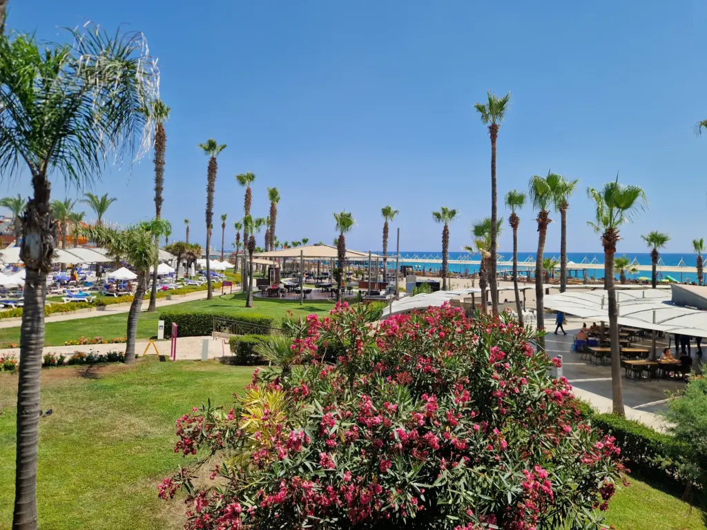 TUI BLUE Palm Garden views
